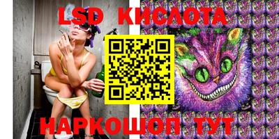 прущие крисы Кандалакша