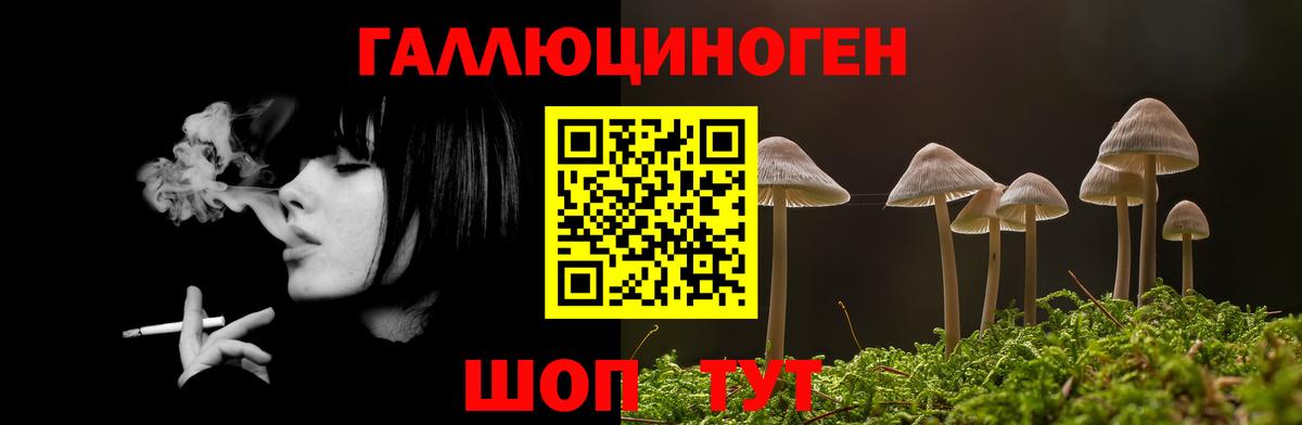 Галлюциногенные грибы Psilocybine cubensis  Вход с VPN  Ессентуки 